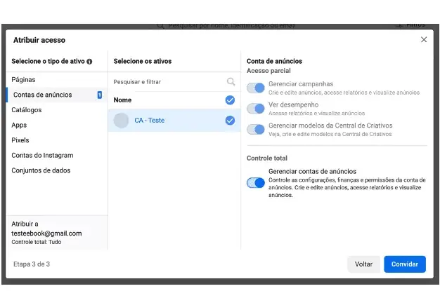 Passo 12: Atribuir acesso à conta de anúncios